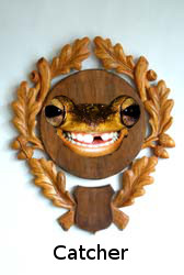 Image Image