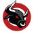 Bullseye
